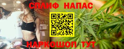 прущие крисы Новозыбков