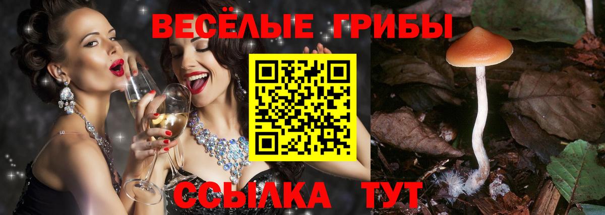Псилоцибиновые грибы Magic Shrooms  Вход с VPN  Ульяновск 